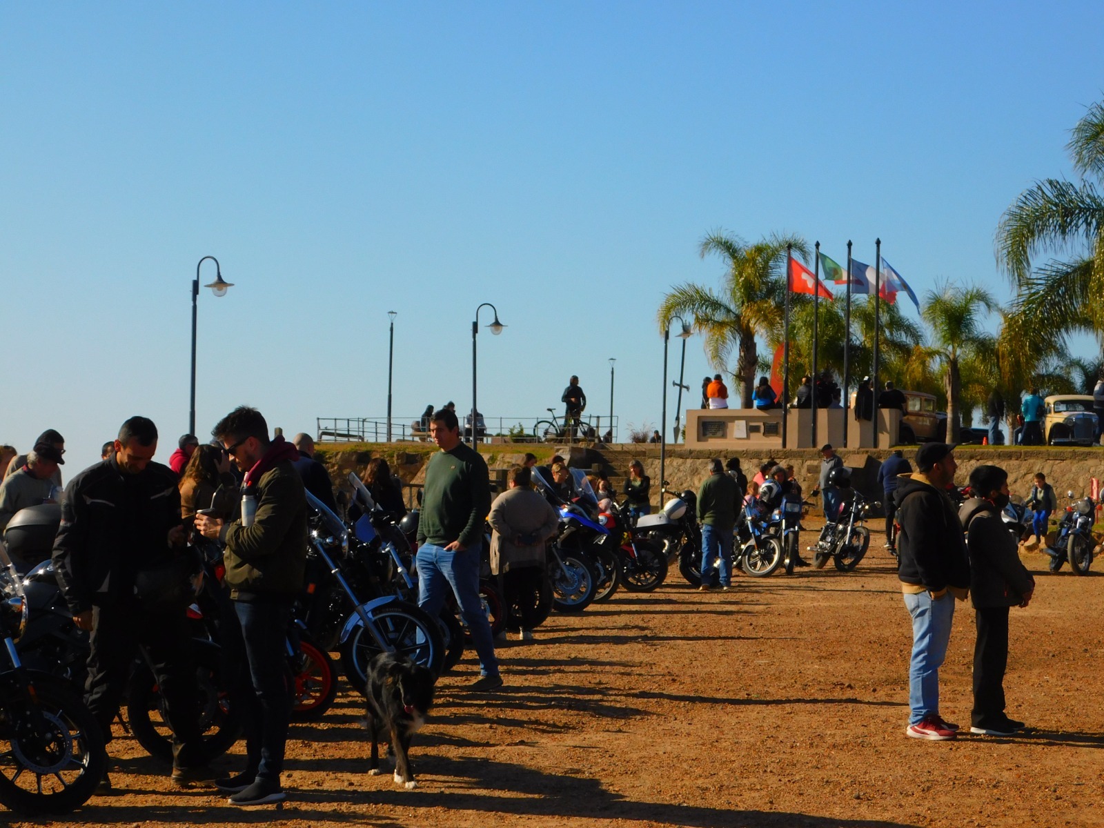 WhatsApp Image 2026-04-08 at 08.13.23 (1)