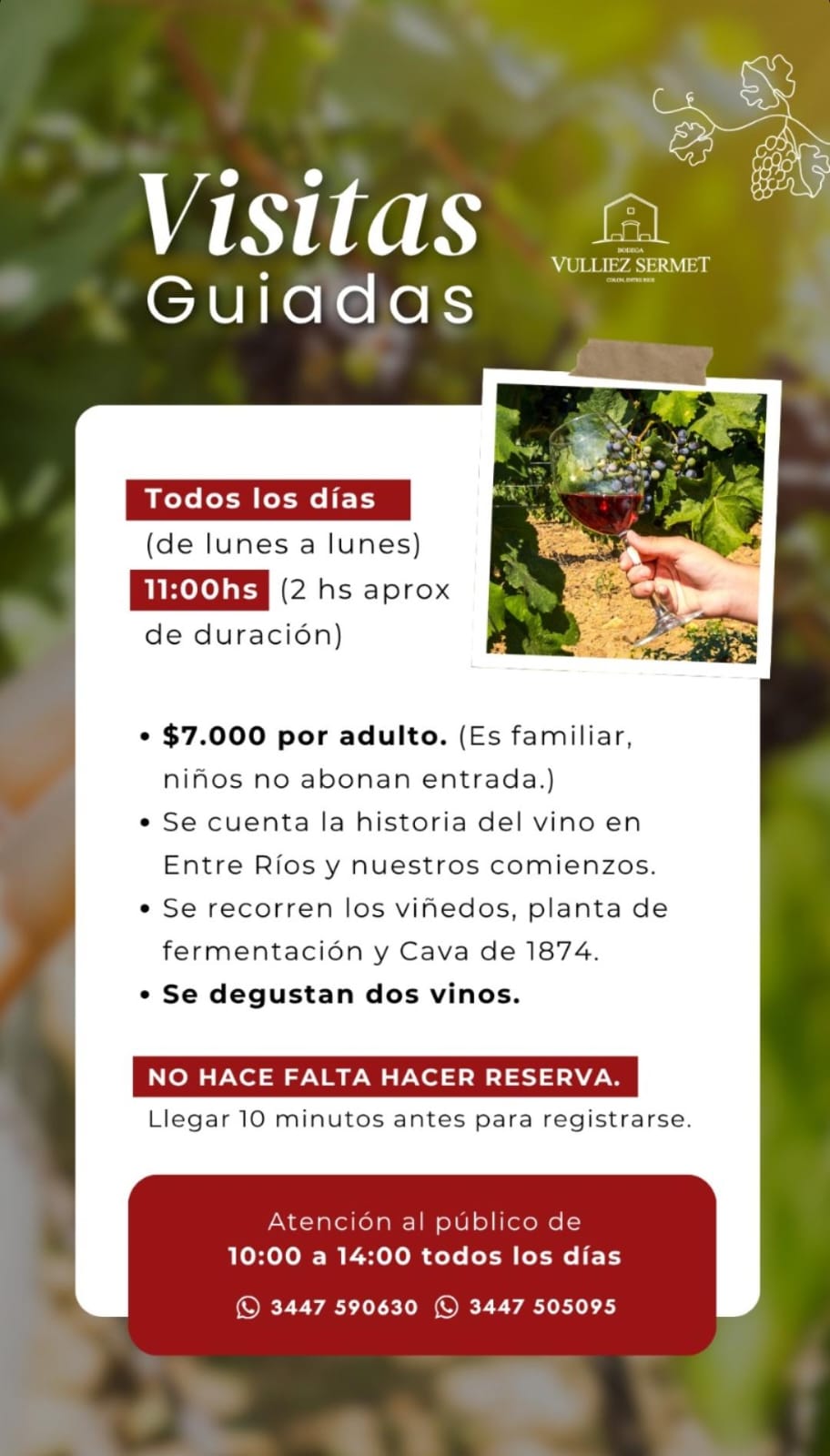 WhatsApp-Image-2026-04-15-at-10.21.34