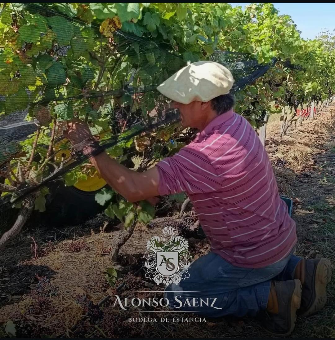 WhatsApp-Image-2026-04-15-at-10.42.09-2