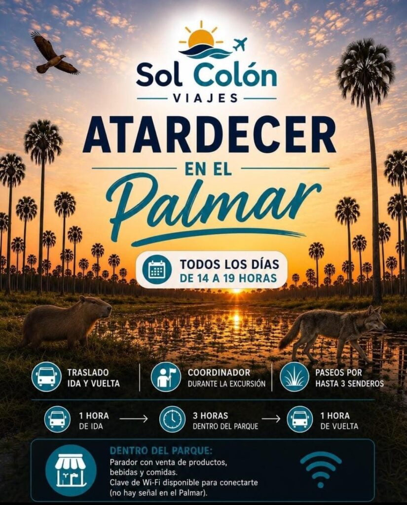 WhatsApp-Image-2026-07-31-at-09.36.50