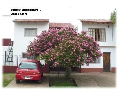 WhatsApp Image 2026-10-21 at 19.18.57 (2)